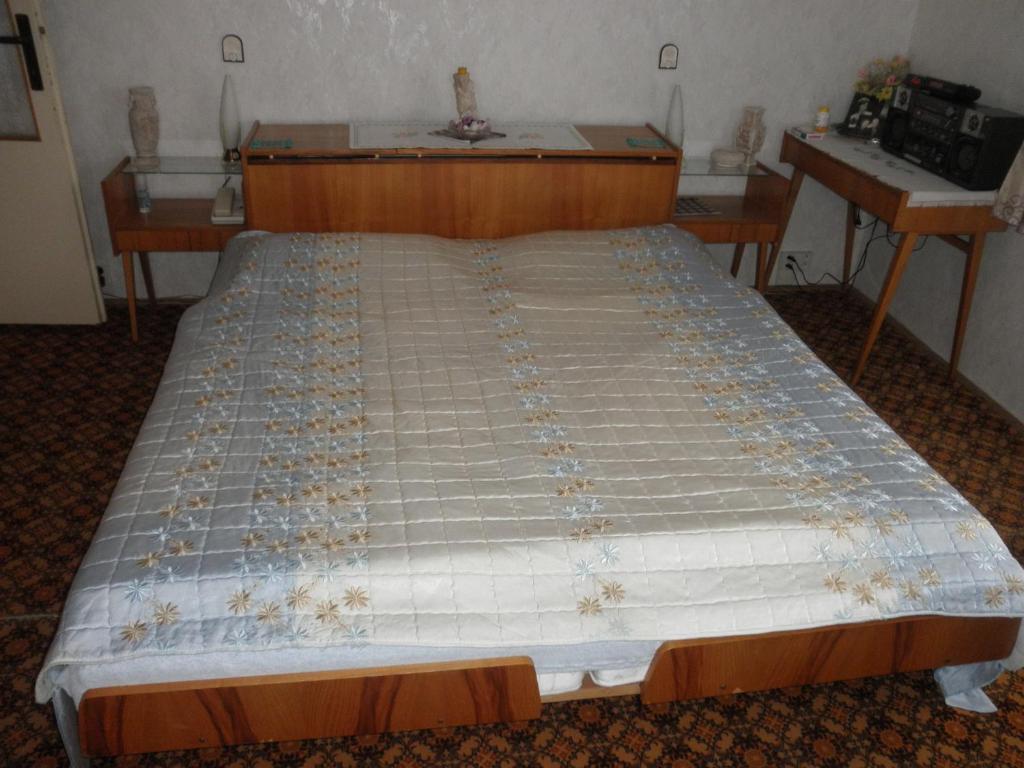 Pension U Kaktusu Карлови Вари Стая снимка